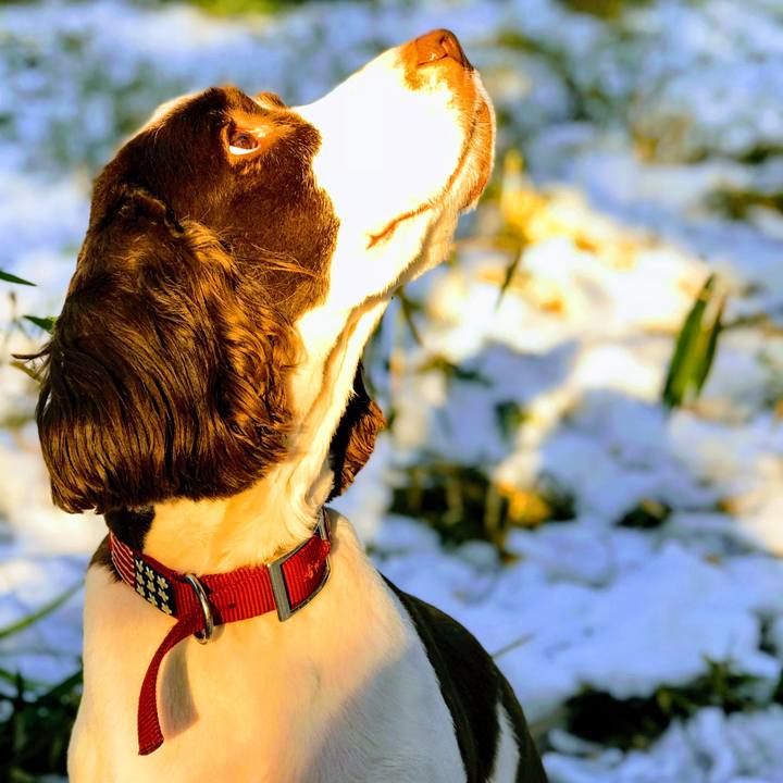 476a9cf3 716b 491d a0cd 60a3885b1ed8 1516941566475