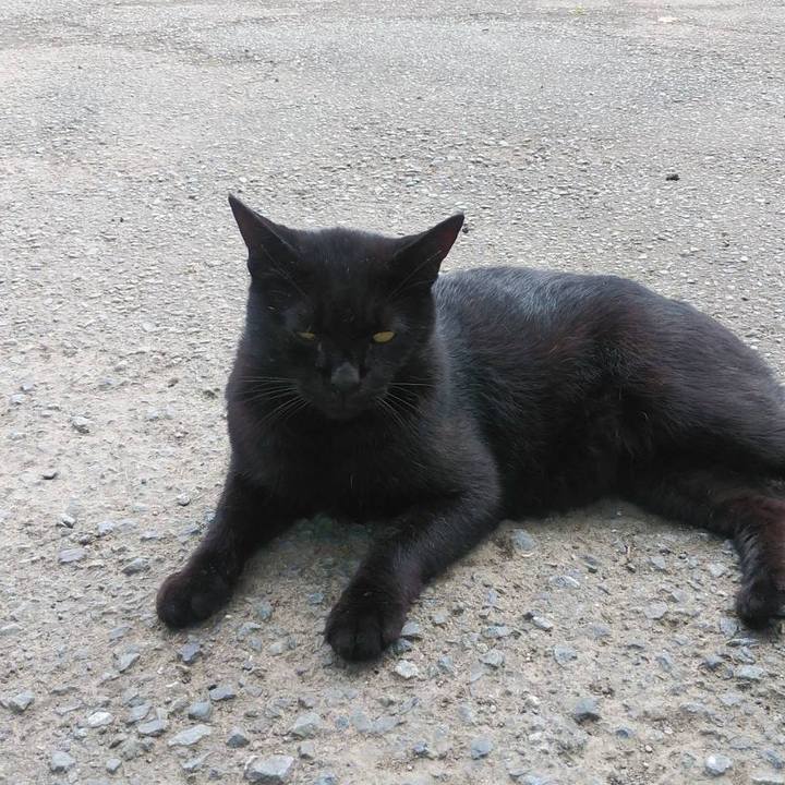 476aa5ba c92c 4072 b639 d6d510e76c03 1569285135361