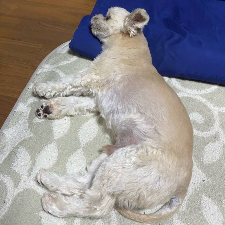 476abf70 038a 4814 8fc7 e12c439f6870 1706964522533