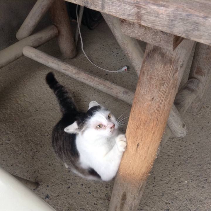 476ac4b2 606e 4fc7 b0e6 78fc6029bc8e 1524056264640