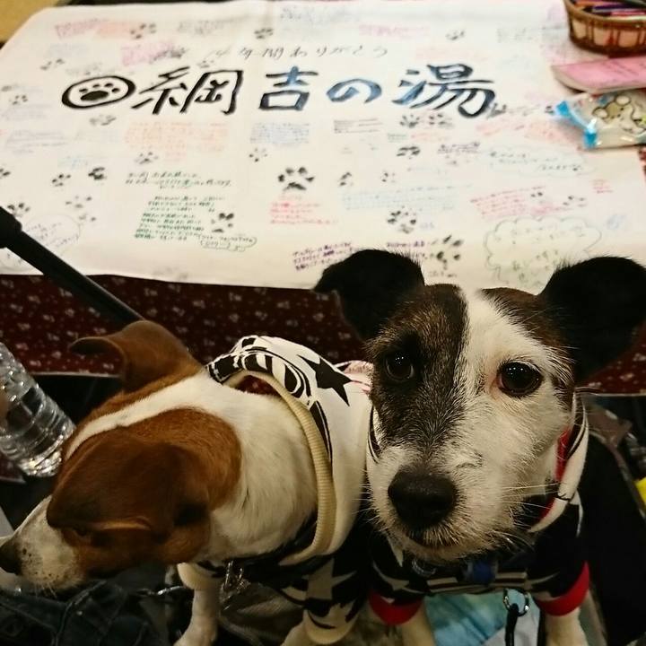 476b3302 e89a 4aa7 af12 257981bcc3d0 1540720587629