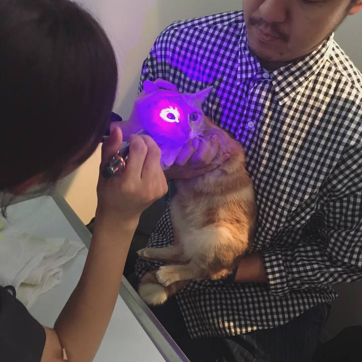 476b8a3a 4332 4e61 98b2 286b8759fbf4 1573015179066