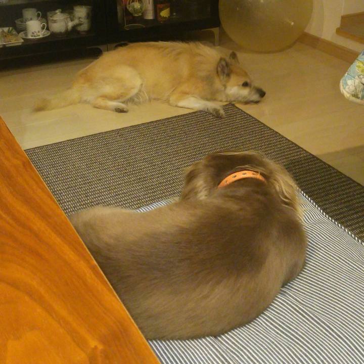 476b9574 50d2 461e 88f5 bc7c4db77e87 1534479200319