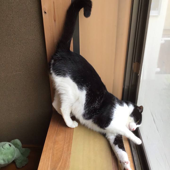 476b9ae9 c433 40d9 acbd d471dde83fc7 1751190311264