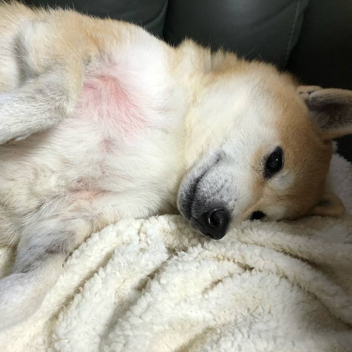 476ba239 50dc 4df8 9c72 e7c46e5fc2bf 1575459409795