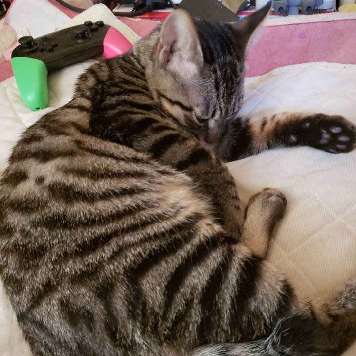 476bb893 6060 4681 963b 12f9e71d9eec 1542952557946