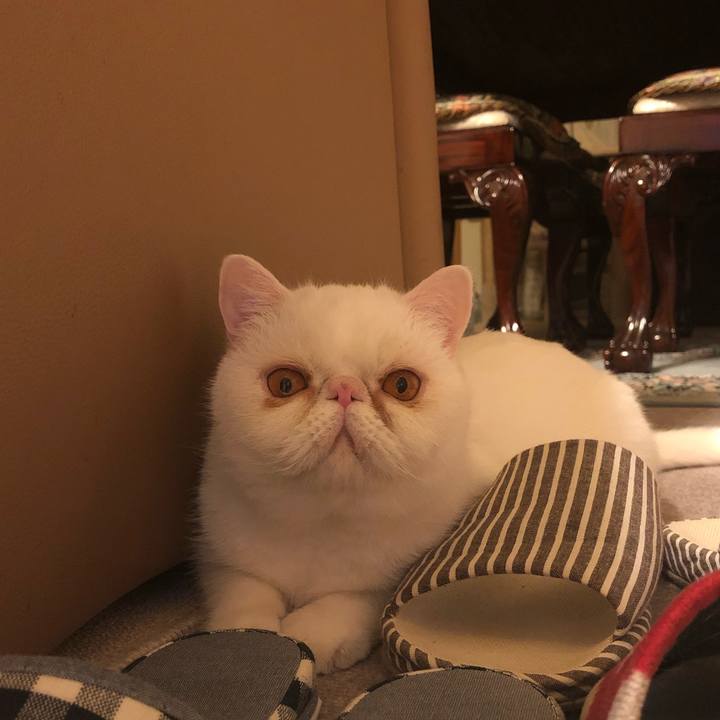 476be106 aa30 4470 877c e67024ebcacb 1622551525225