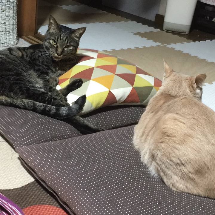 476be396 d43b 4106 960d b180f5415ed2 1523443322492