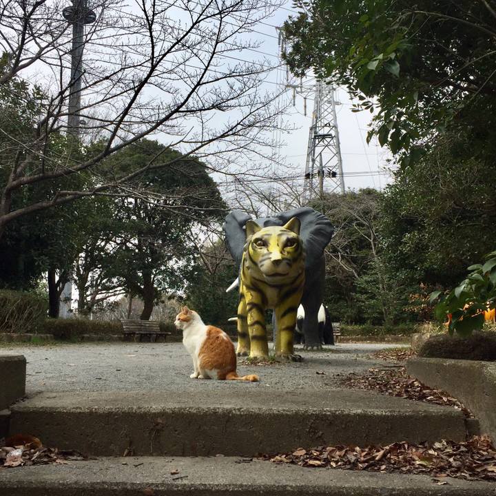 476be668 57ca 44b7 992e bac28654d870 1552718983146