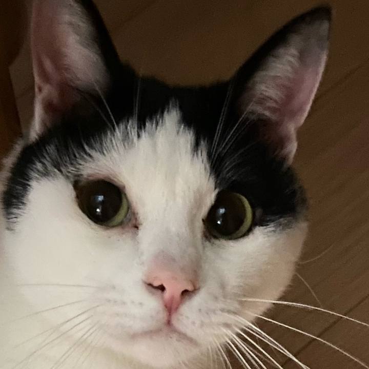 476be897 52ee 44b5 a186 433f07525b60 1589025046967