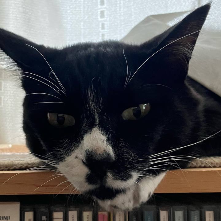 476c36a7 89b0 4987 816c 86d87dd476a9 1667028559840