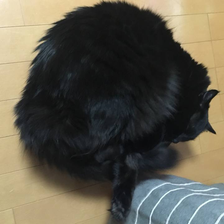 476c42bd 0278 4609 9384 9321927d6cfb 1525002155388