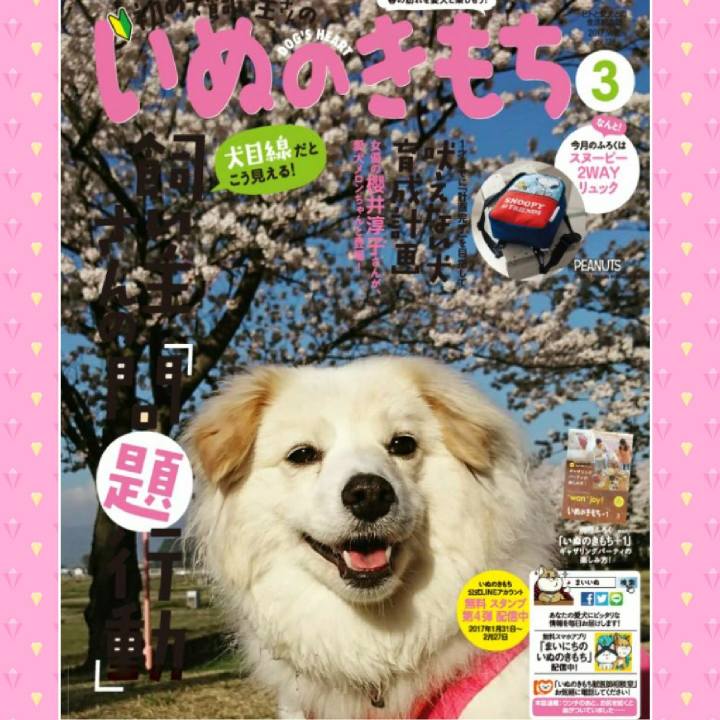 476c514f f3ca 4e47 bdd3 30758c0577a3 1517741410343