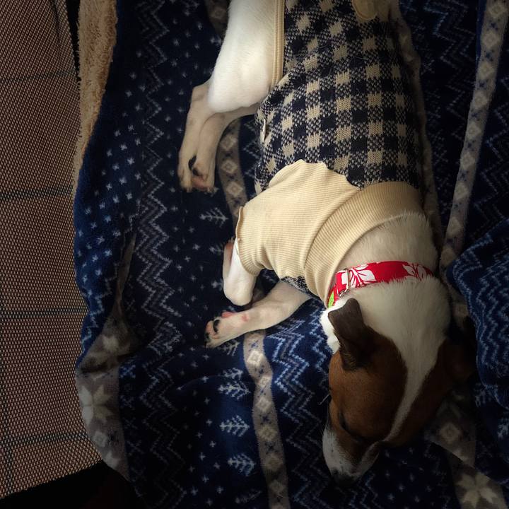 476c5253 5e81 4590 8a63 8eea4d42db09 1583295057307