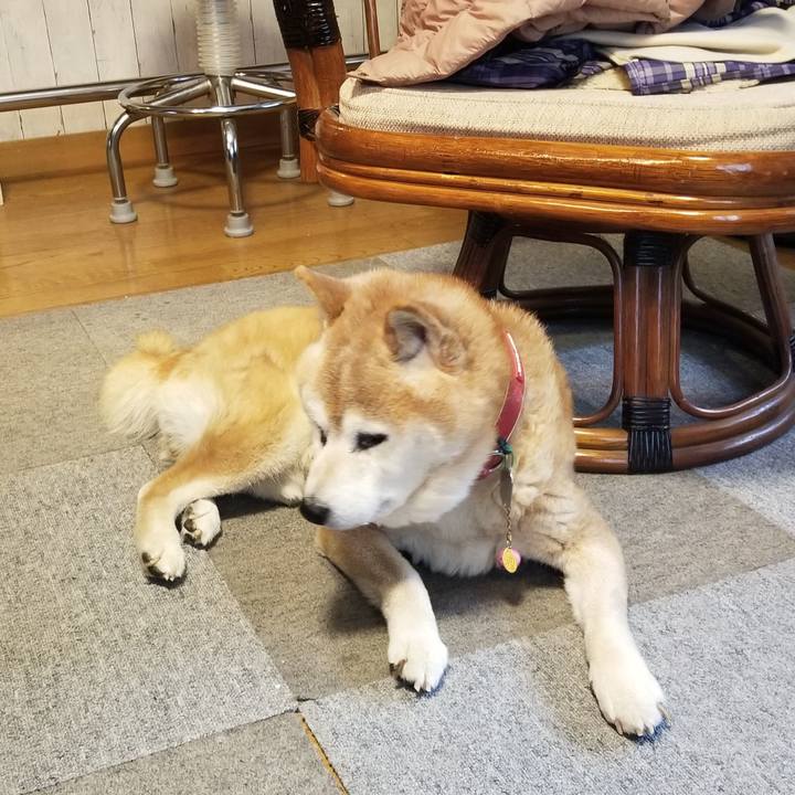 476c8c11 4258 4ff8 9da2 46a976a5ff59 1768862410942