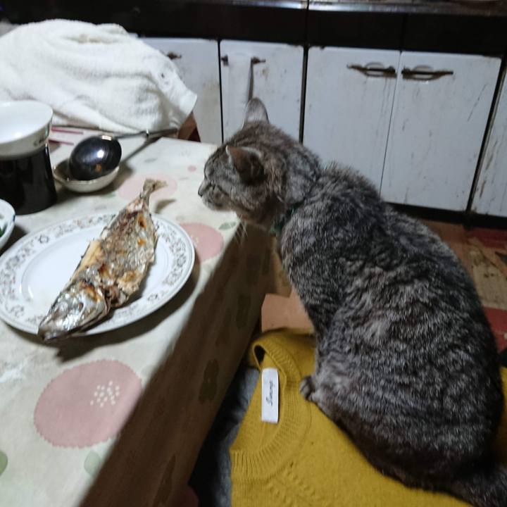 476cbfb7 36ef 4d1d aec5 30d5ee9120a4 1604749799431