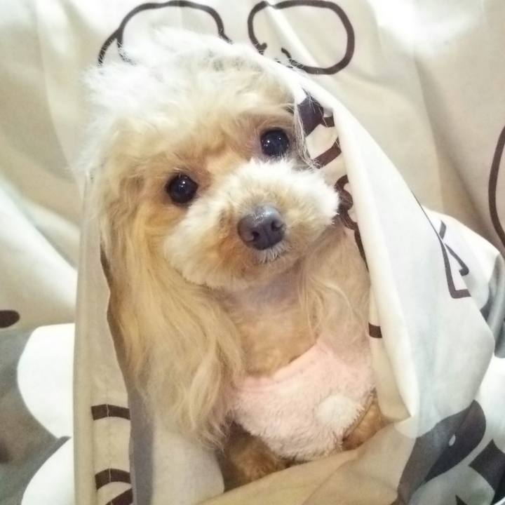 476cec97 01f2 4b4c b6b7 3ca83d19b2fa 1551267520781