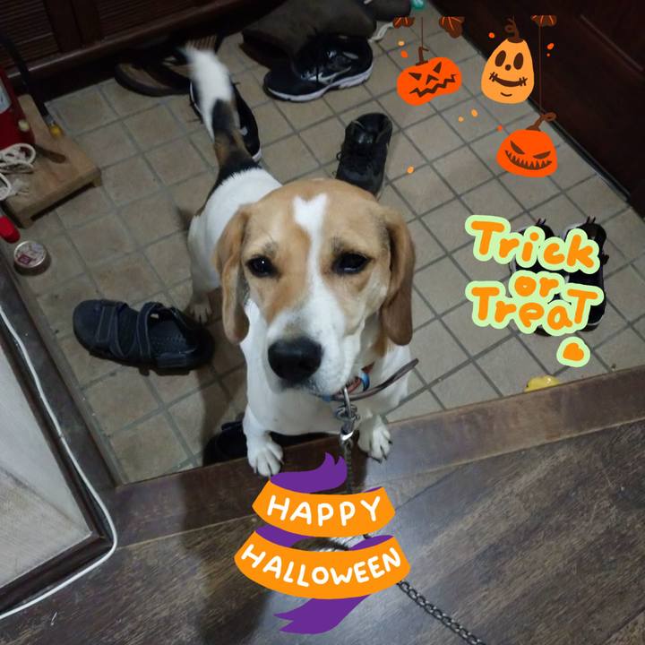 476cfdc0 a473 4e60 8041 3811279a8ed5 1604139636641