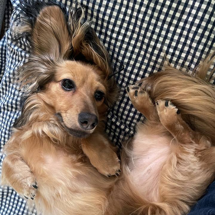 476d02ef 10f7 4cac b2cb 5adbac91c70f 1659853539693