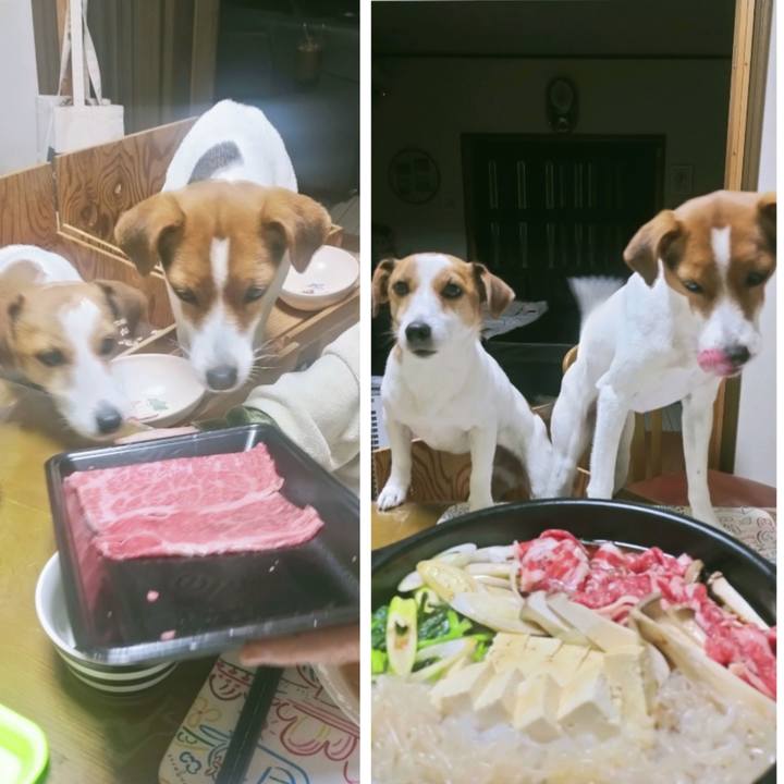 476d0ee0 d9fa 4bf3 ba2a 1af5c9cd51a0 1767437880521