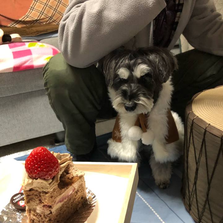 476d3951 43fe 4130 9f61 805d5ffa6208 1703417683158