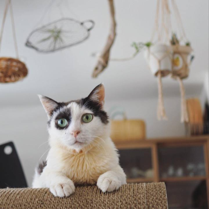 476d5b77 705b 4911 bb77 79b77ed3b5d3 1689917373361