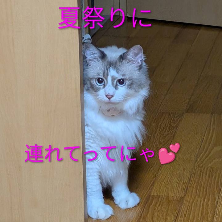 476dcffd d5d7 4b46 b02c 5b45fd15064e 1788038345671