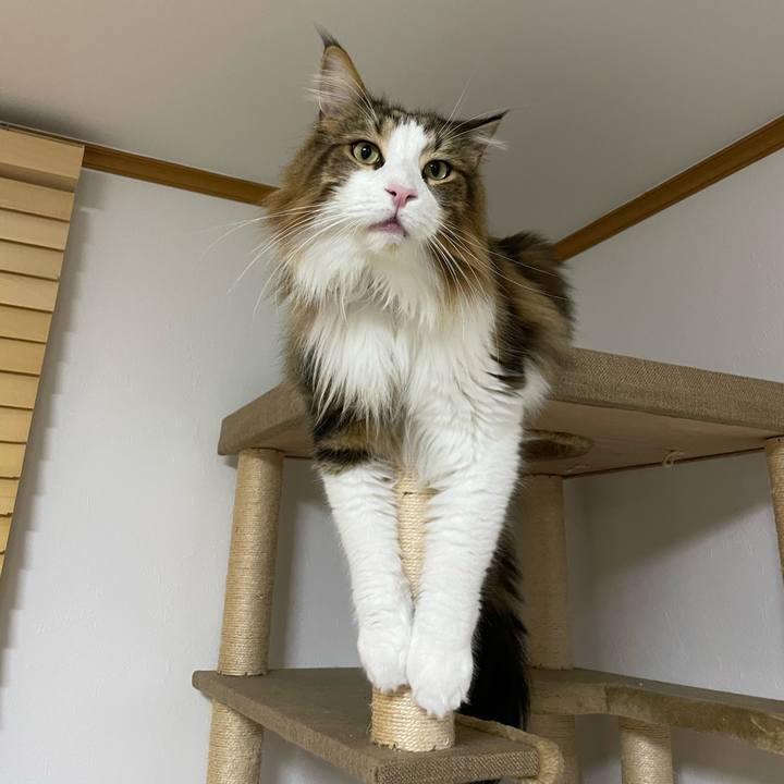 476e02e2 9573 4191 9919 d72cf268c919 1701890418905