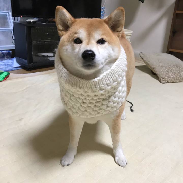 476e147d d624 440d 992d 796673f4e121 1547259420589