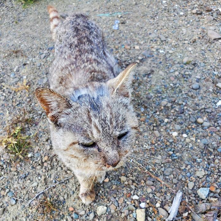 476e67fc 61de 44af 8cee 70ee75ad6c68 1717329735294