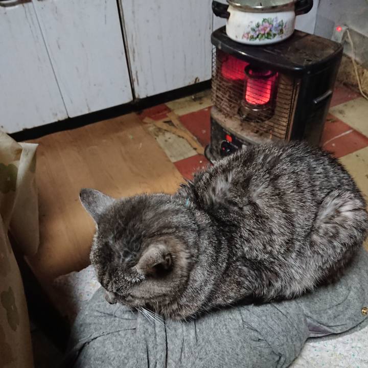 476e92ce bf0b 4a23 8191 de3cb3bf4cb5 1575284691017