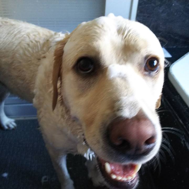 476ec72a ed5c 4d7a aefc c217529ef8a8 1534905909342