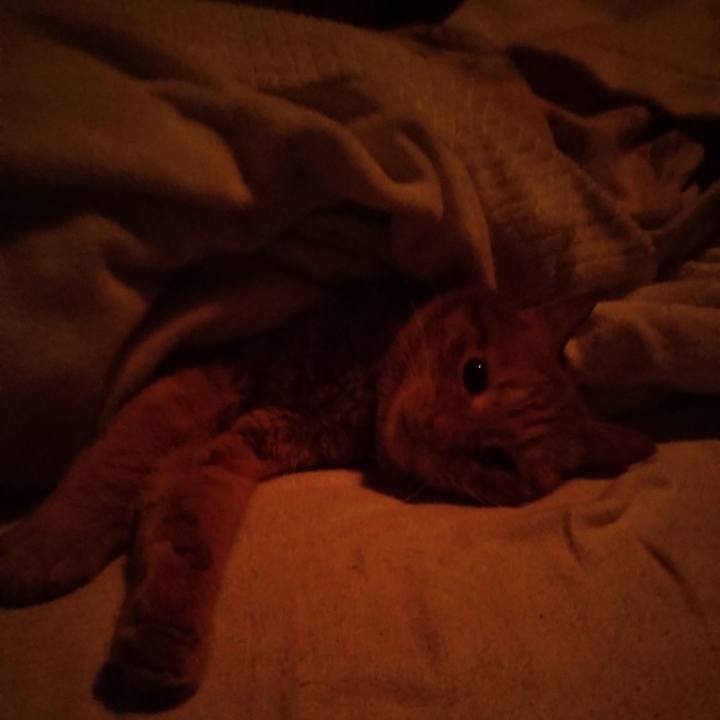 476edbb6 00b2 4589 bd84 44c9199ecd1b 1672613691712