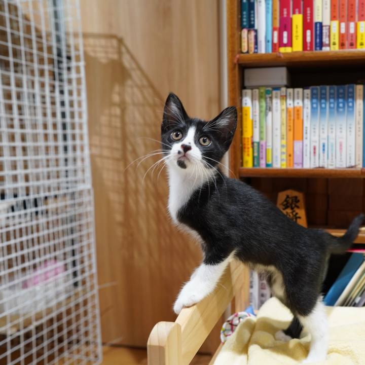 476f0c8a e820 4a56 94b2 44af02ababc6 1568209916905