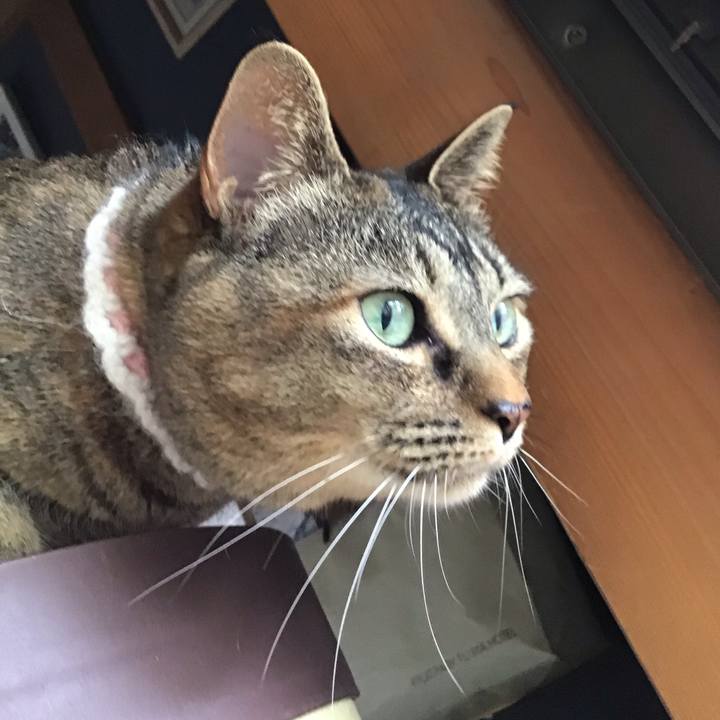 476f3021 6c15 4659 97f1 23b770ddfb40 1746951313641