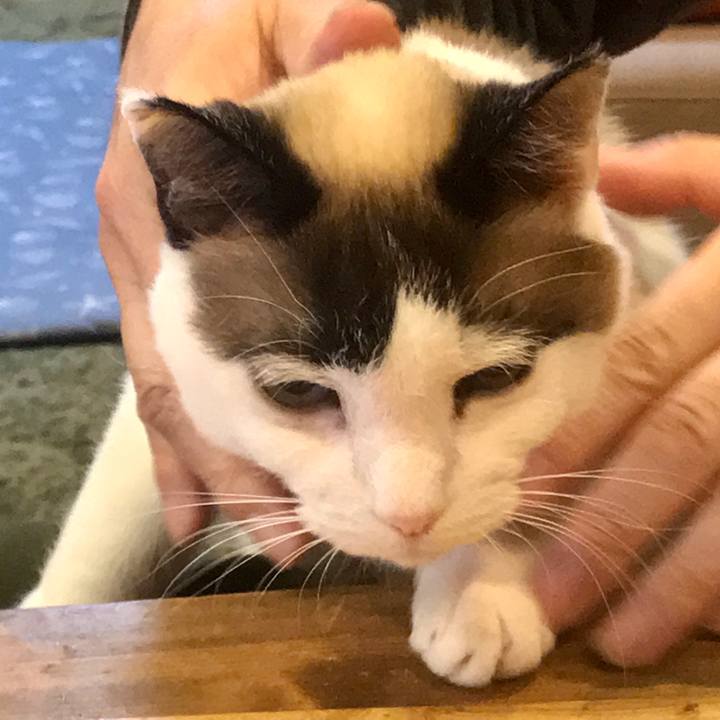 476f5e6a a74f 4158 a6f9 177f119c6738 1584949144049