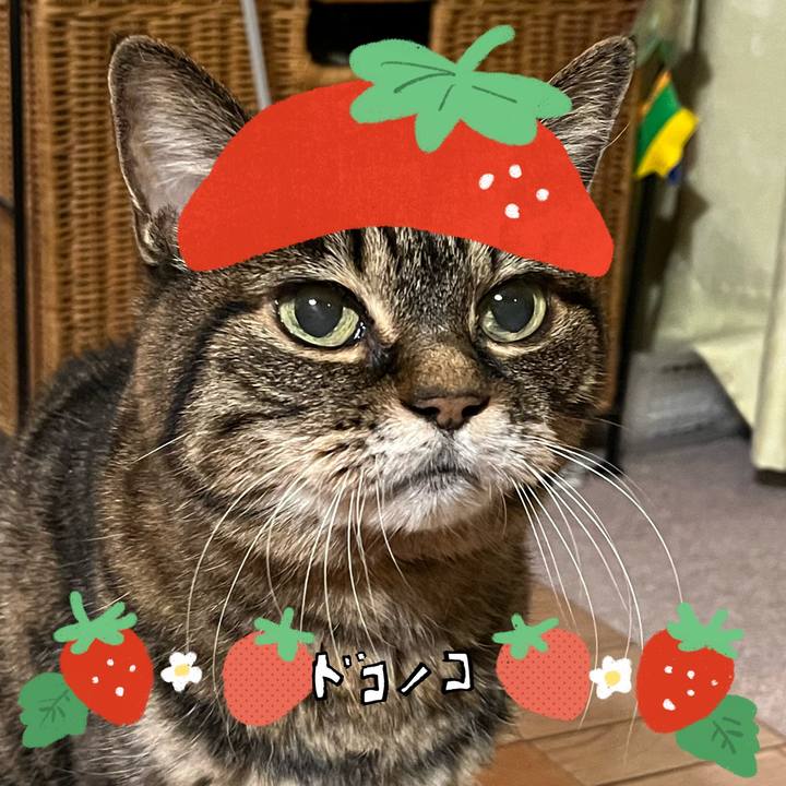 476fa1ff a335 497c 94bf d44e4c0e00c6 1775344860408