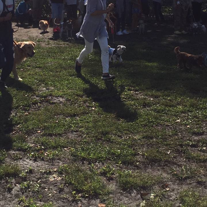 476fdc90 80f3 4794 9168 dda29415b630 1538815744171