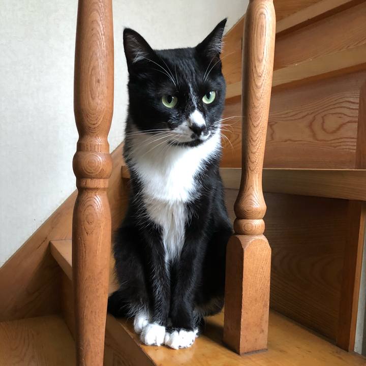 476fdf19 b583 43d9 9543 746398c995e9 1537243028097