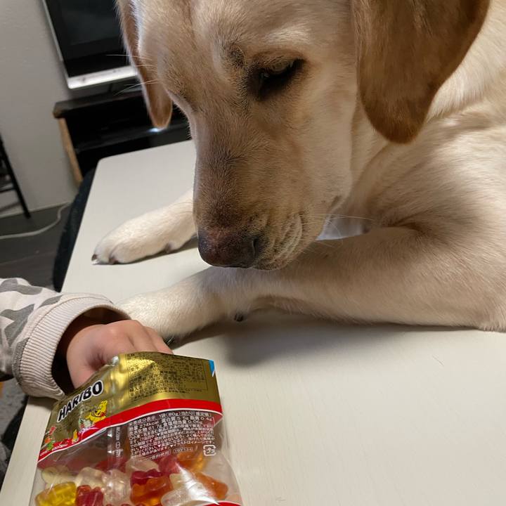 476ff3c3 ce3c 40e0 a613 677e76506dfc 1645587335527