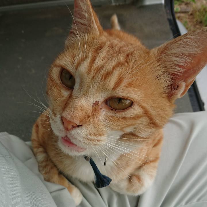 476ff7ca 852a 4f93 8afb 46823577c1e3 1562318173665