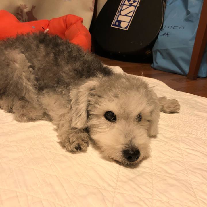 47700738 3a23 4ccd 9b91 28d4f04b799b 1601855447473