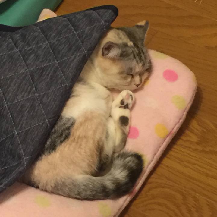 47701521 0046 487d ba51 866d81b58eb4 1548773507657