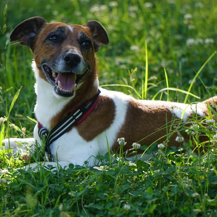 477021a1 988b 4345 9c9f 1dcf3cf05bcf 1560380021678