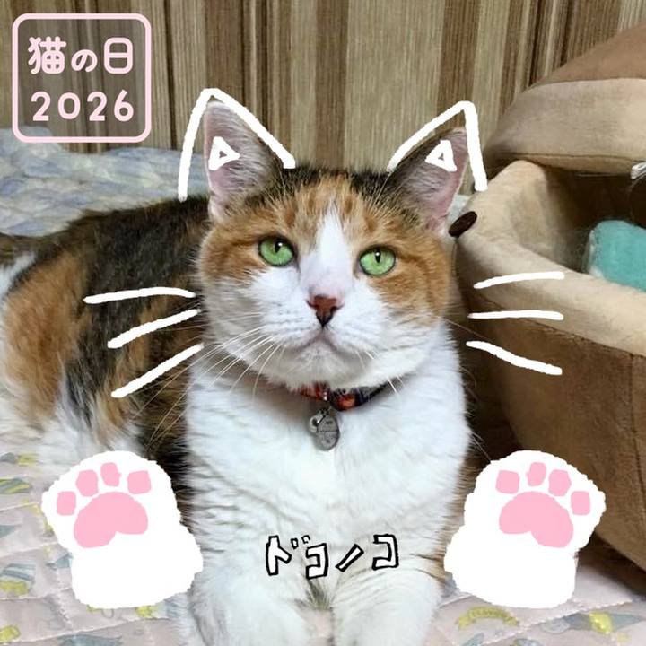 47703725 0fdb 43b5 9a21 65e374bf13ee 1771757378109