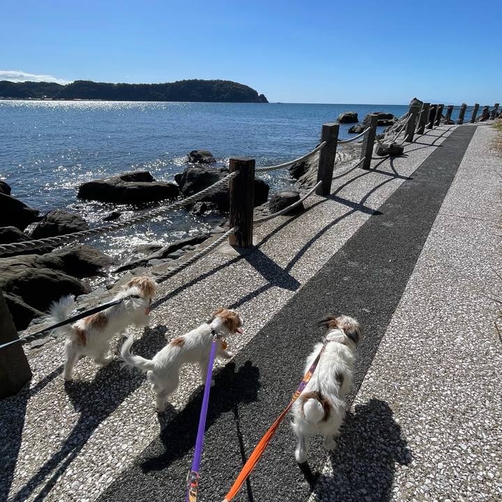 47706d58 bf7b 498c bc86 502c82fc3828 1760703116212