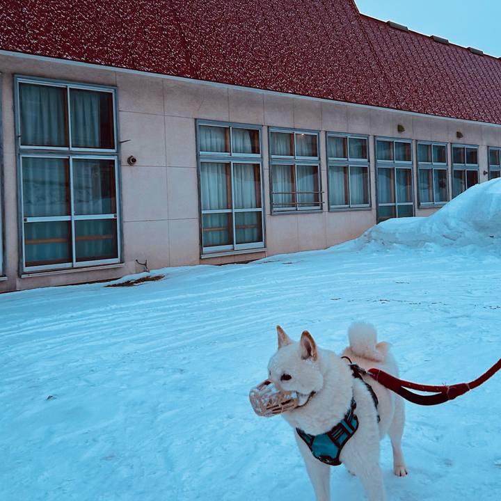 47706dae d527 4a02 b700 224f2e42dc86 1736461755911