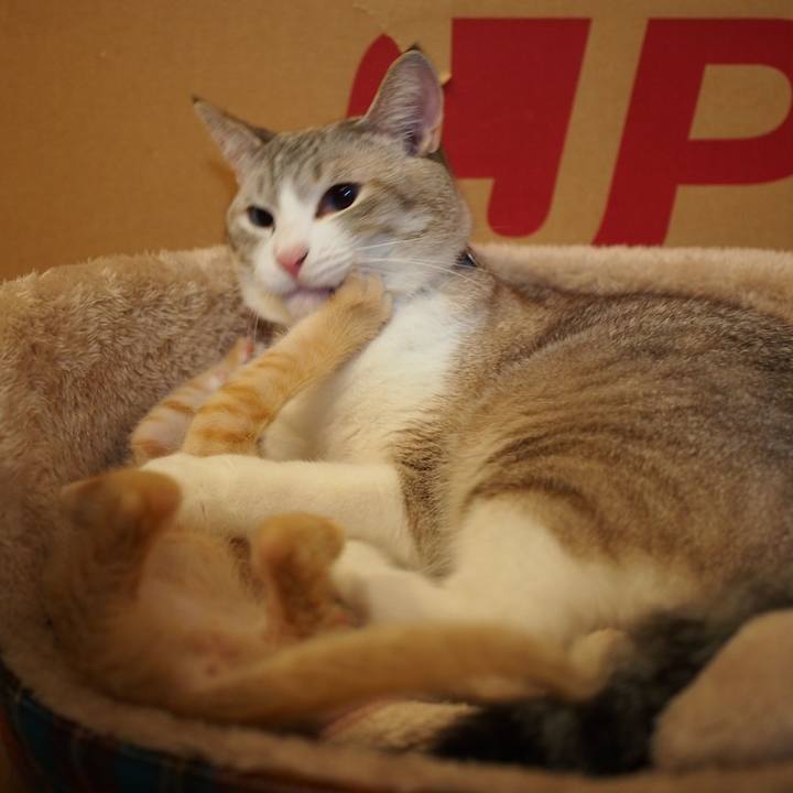 4770cd7f d7b2 4aed b378 2e1c78d2cbed 1571023721309