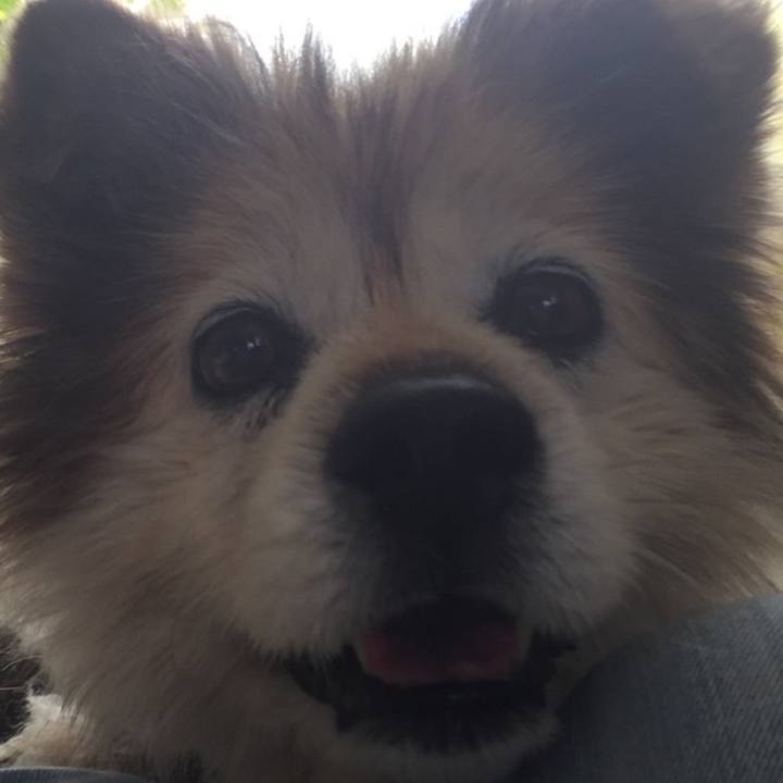 4770ced6 e1c9 407d 82b6 7e7e7d2e691d 1584281367369