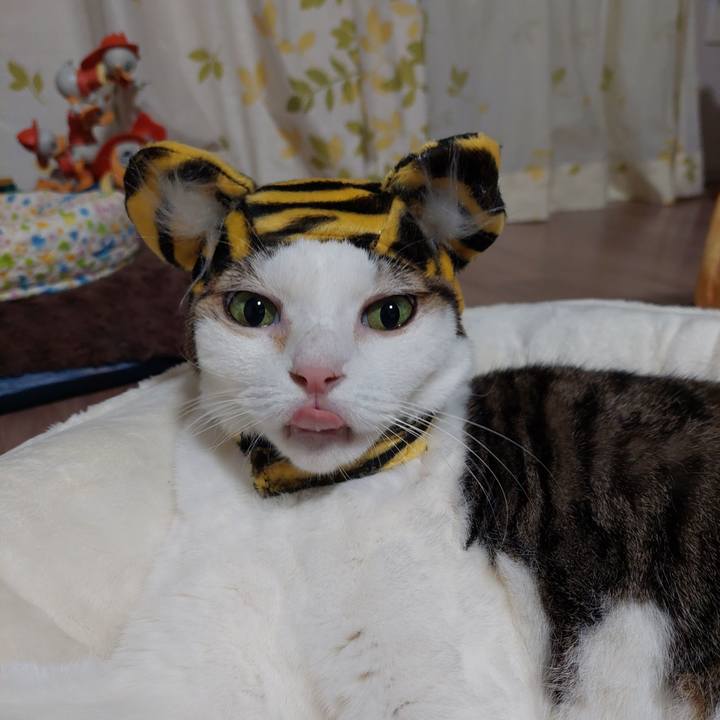 4771016c 5950 48d9 beb4 7cb22939a155 1639480733698